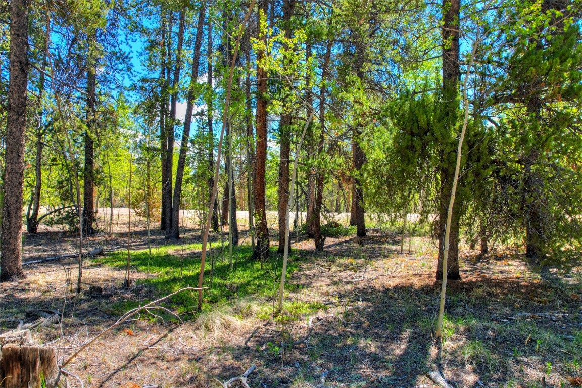 337 Busch Run Fairplay CO 80440