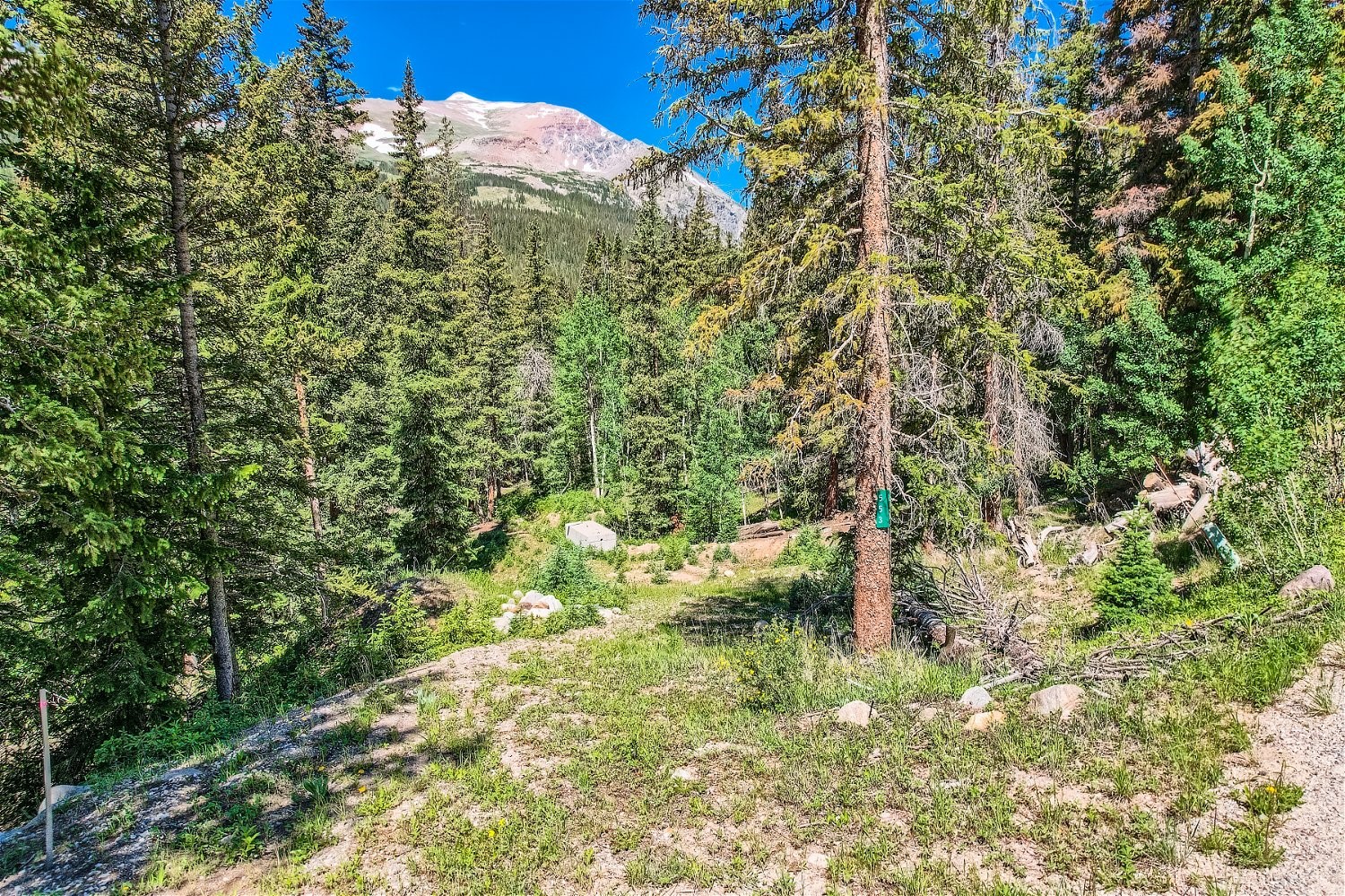 553 Nuthatch Drive Alma CO 80440