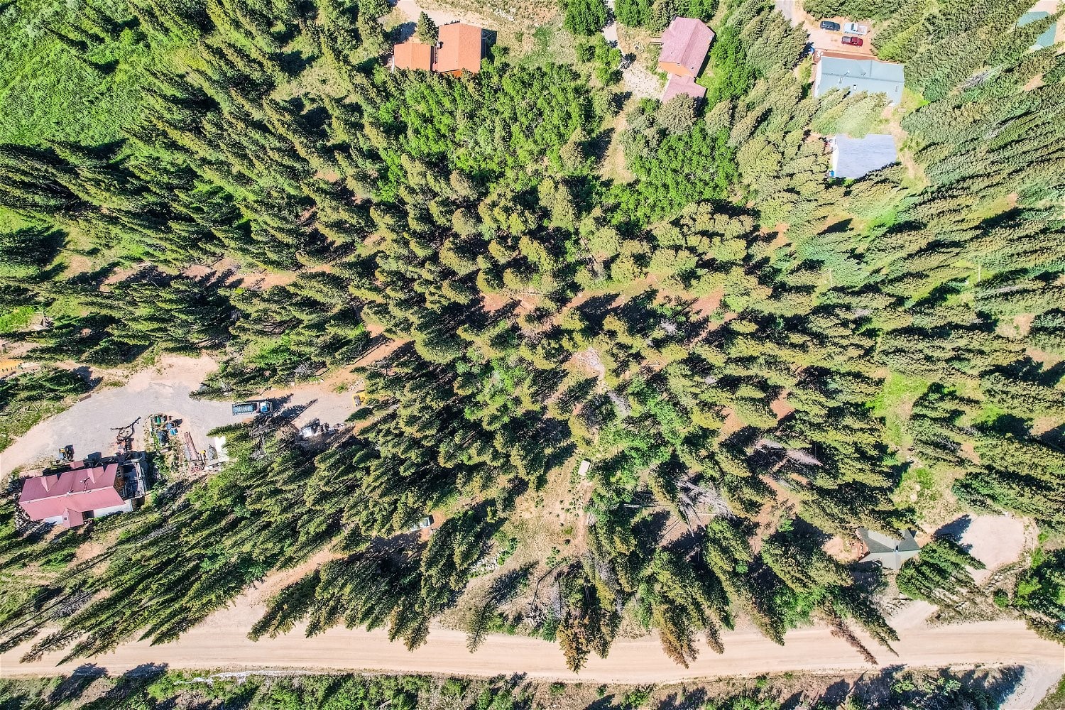 553 Nuthatch Drive Alma CO 80440