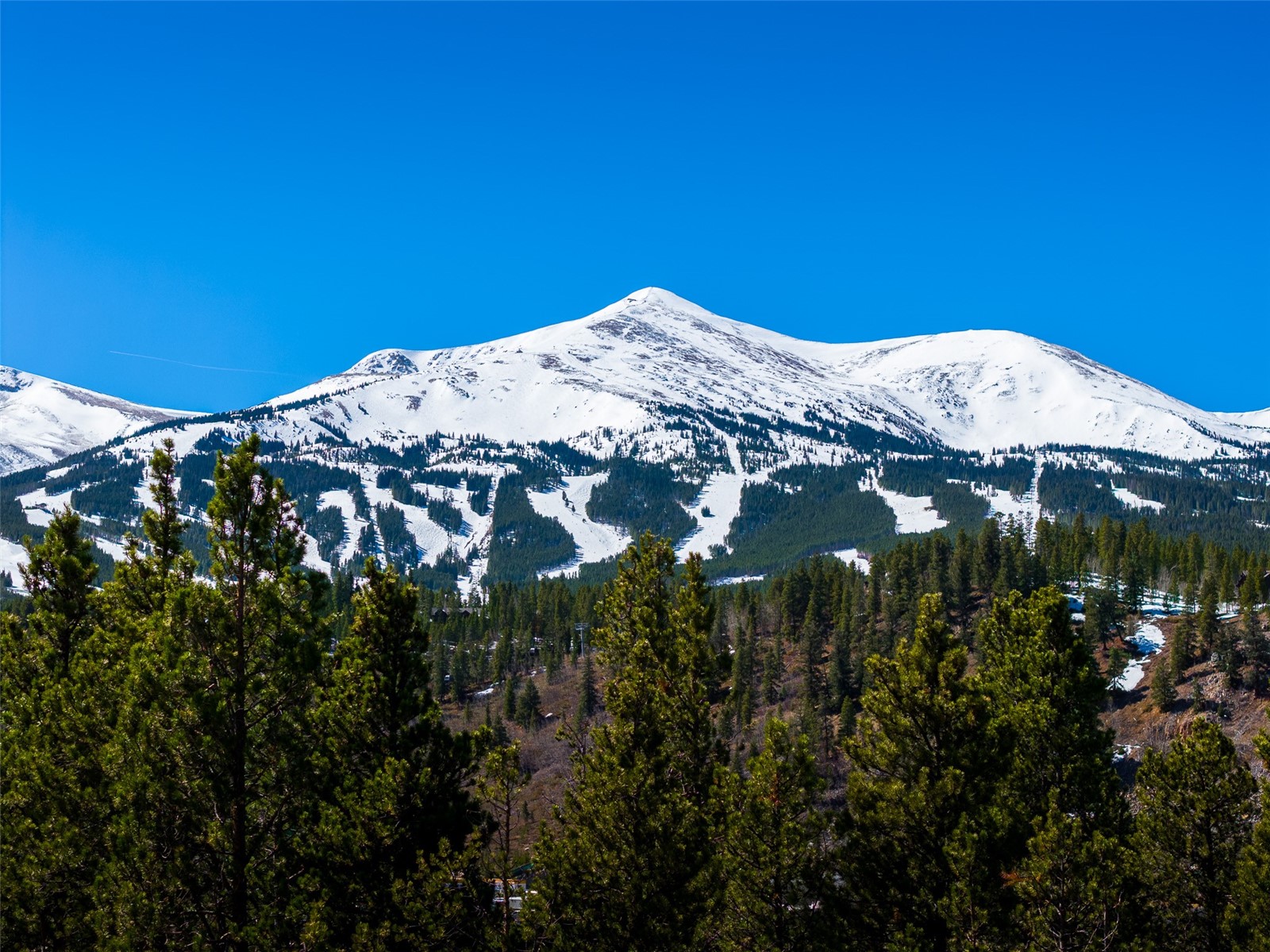 309 Royal Tiger Road Breckenridge CO 80424