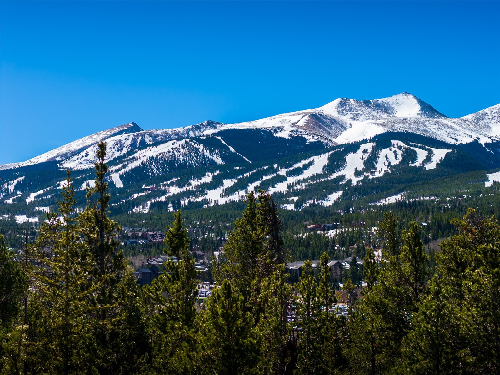 309 Royal Tiger Road Breckenridge CO 80424