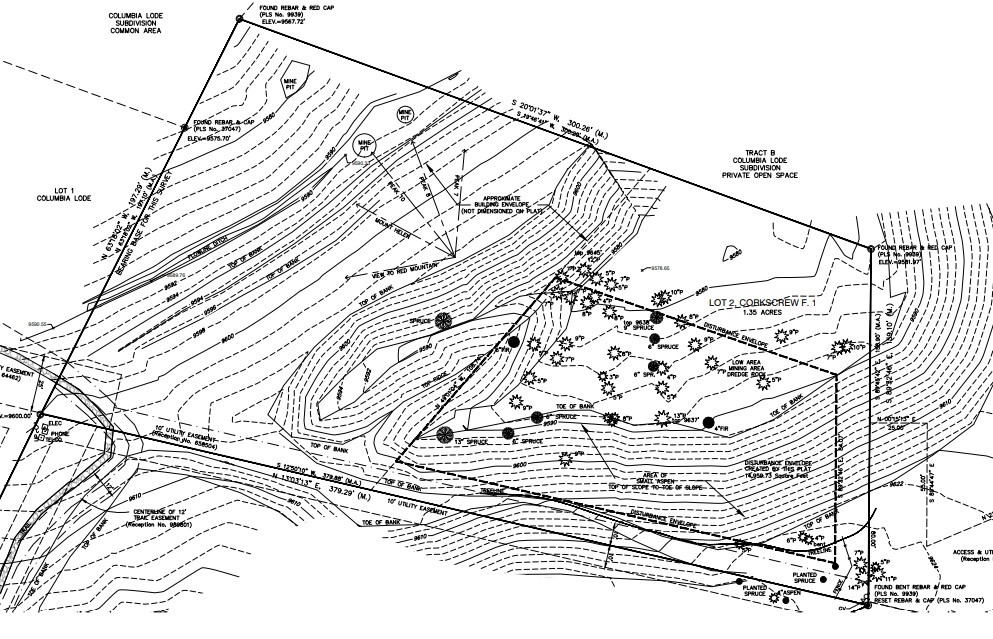 309 Royal Tiger Road Breckenridge CO 80424