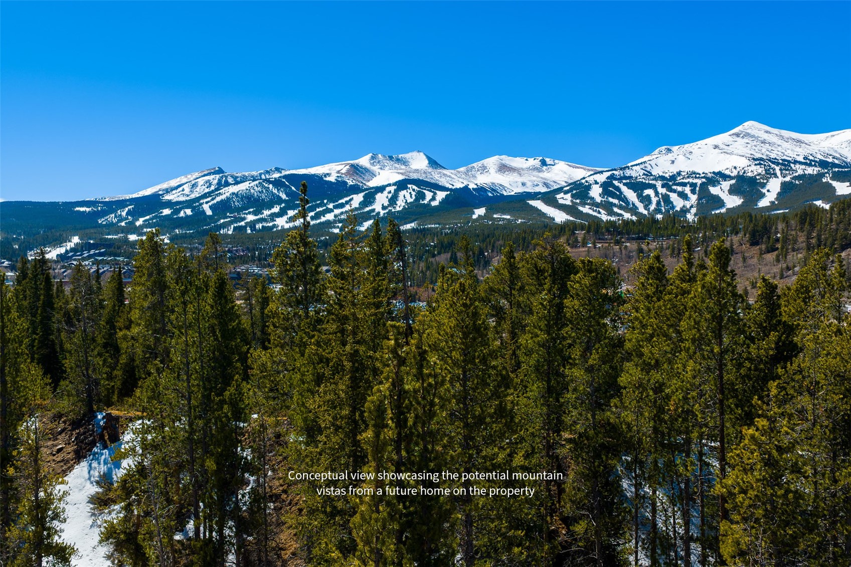 309 Royal Tiger Road Breckenridge CO 80424