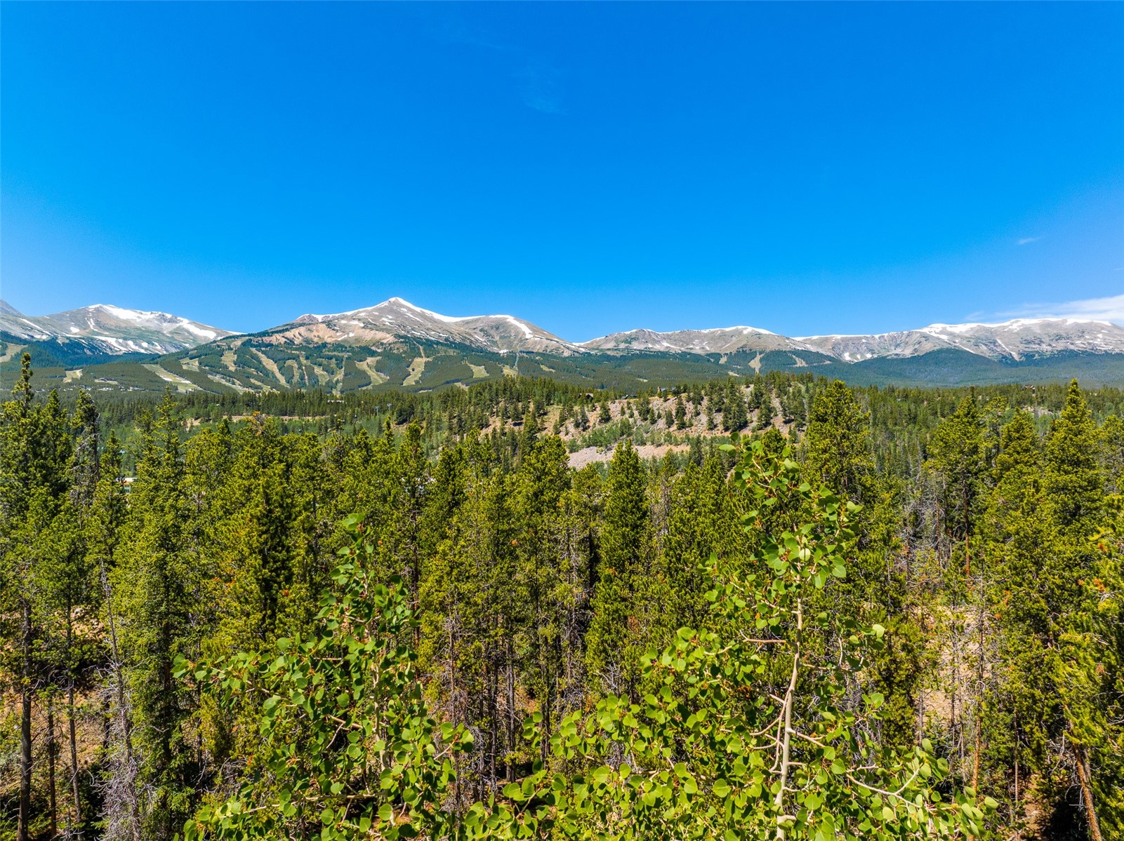 309 Royal Tiger Road Breckenridge CO 80424