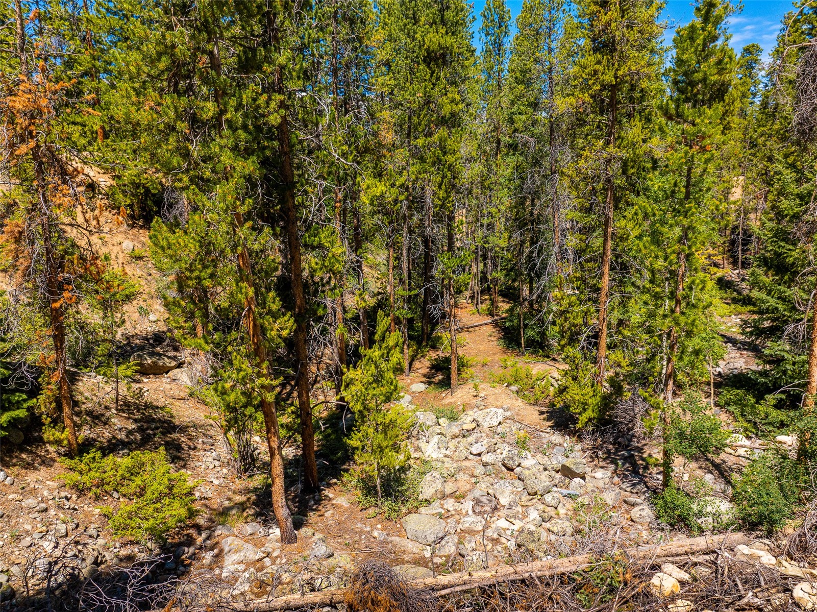 309 Royal Tiger Road Breckenridge CO 80424