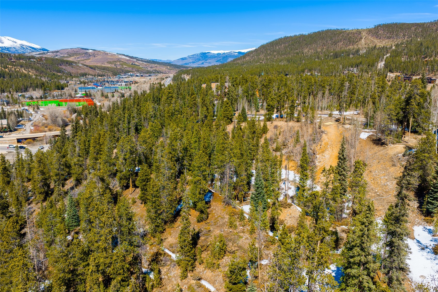 309 Royal Tiger Road Breckenridge CO 80424
