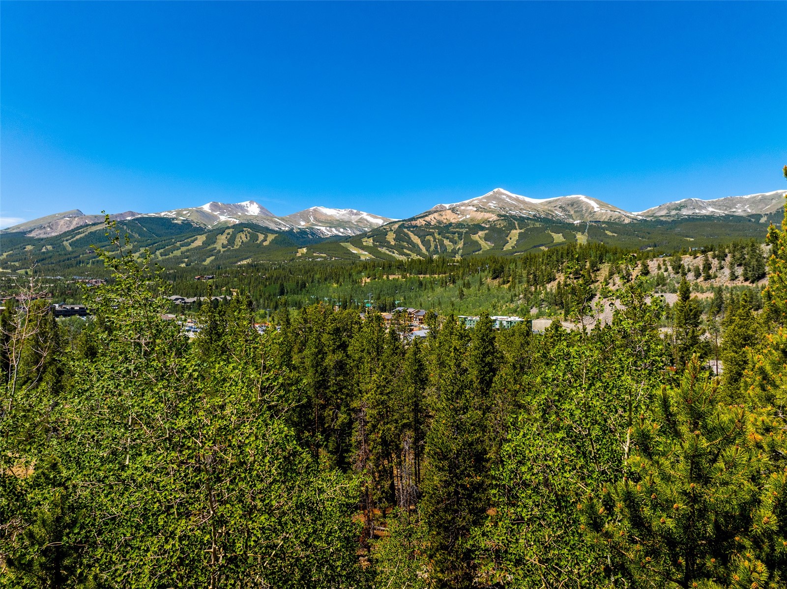 309 Royal Tiger Road Breckenridge CO 80424