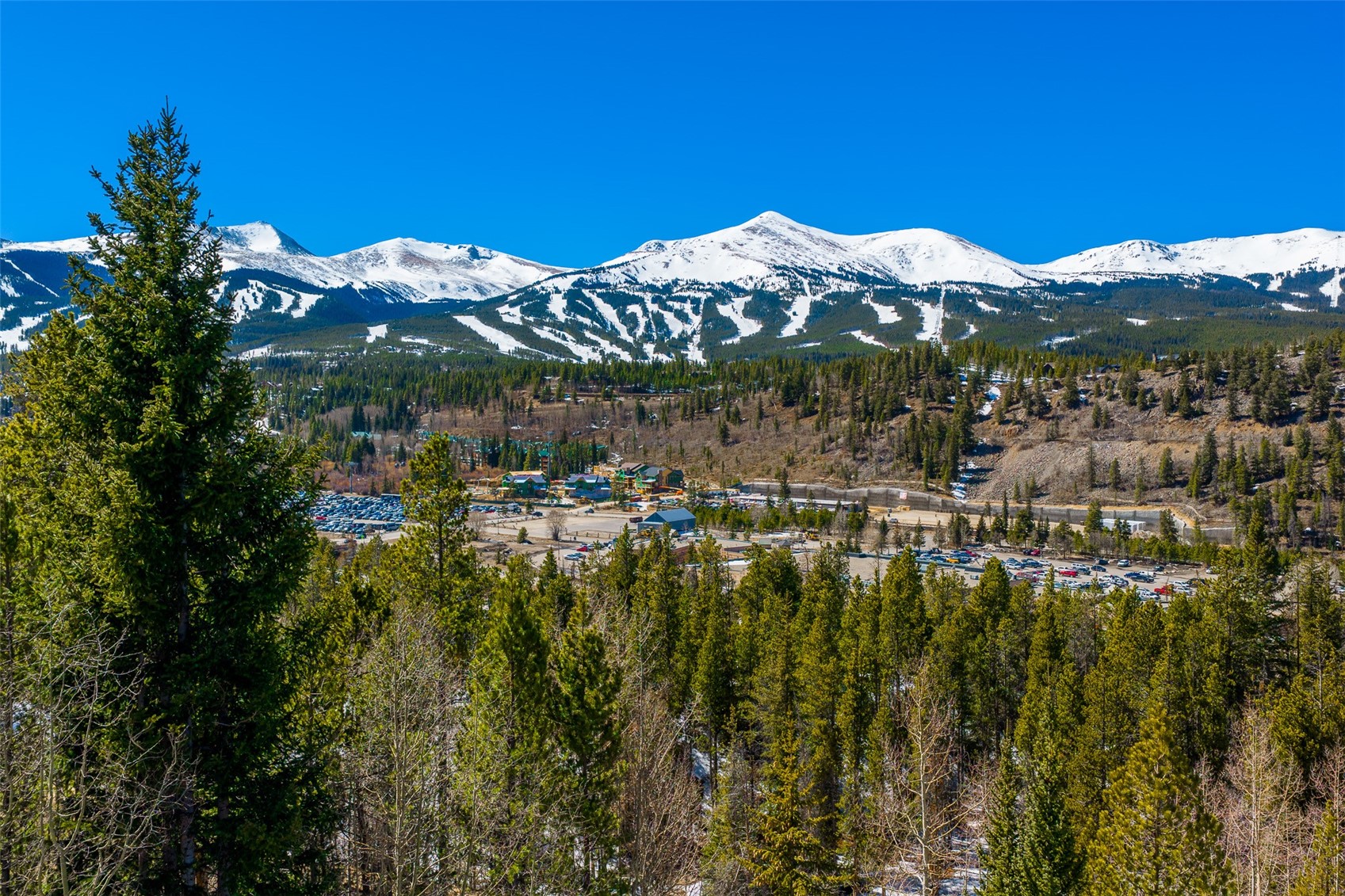 309 Royal Tiger Road Breckenridge CO 80424