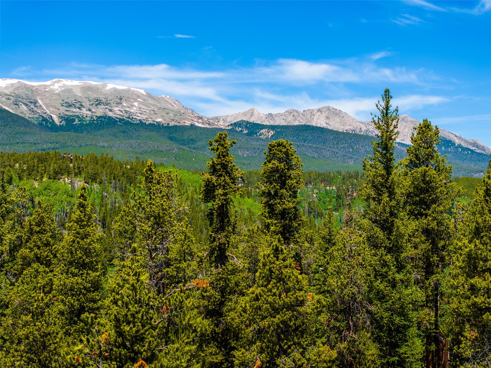 309 Royal Tiger Road Breckenridge CO 80424