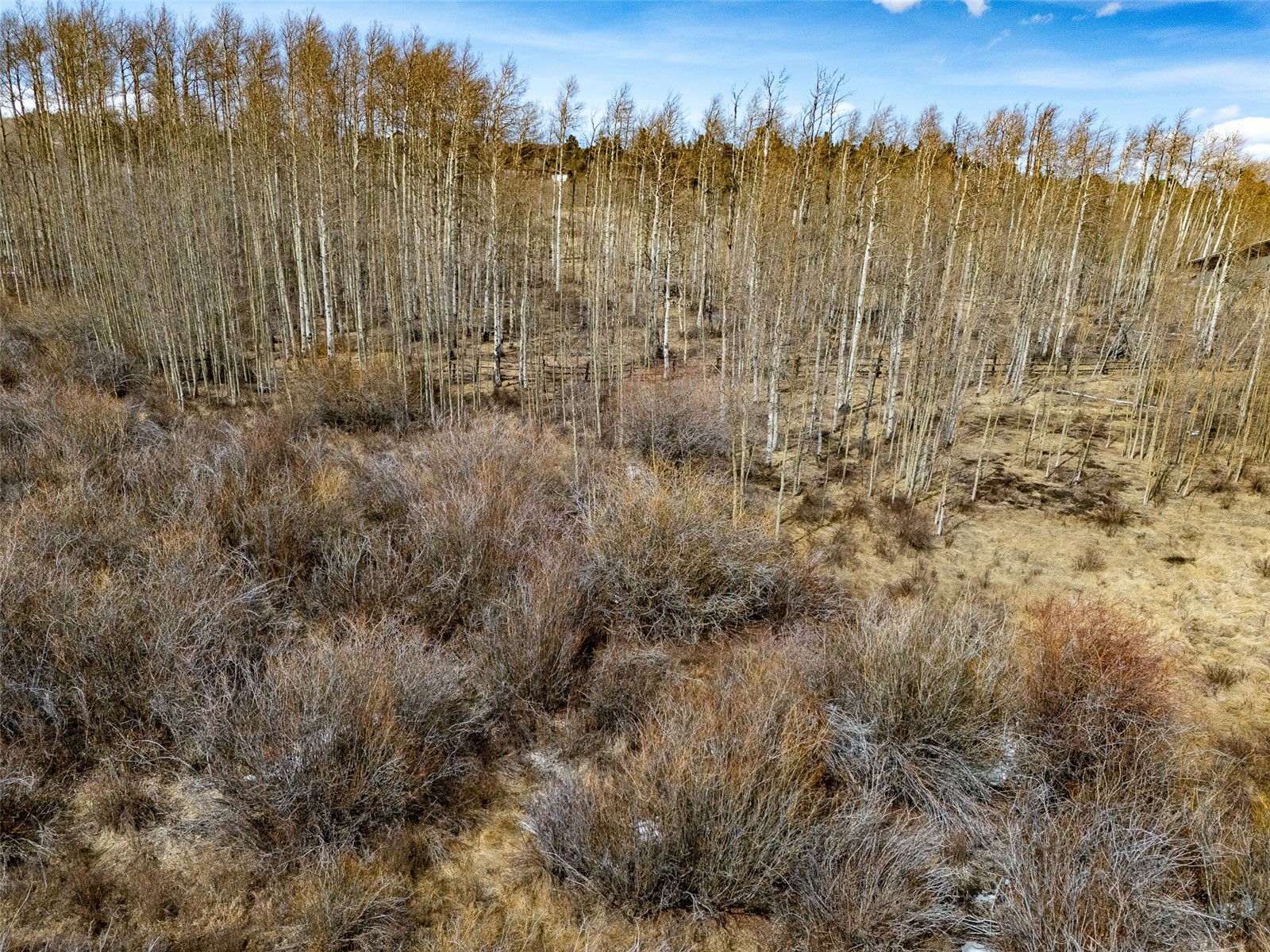 1555 Sheep Ridge Road Fairplay CO 80440