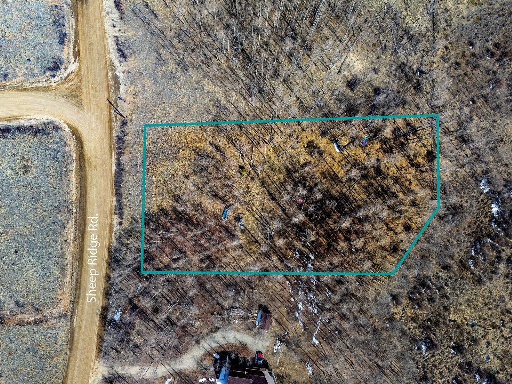 1555 Sheep Ridge Road Fairplay CO 80440