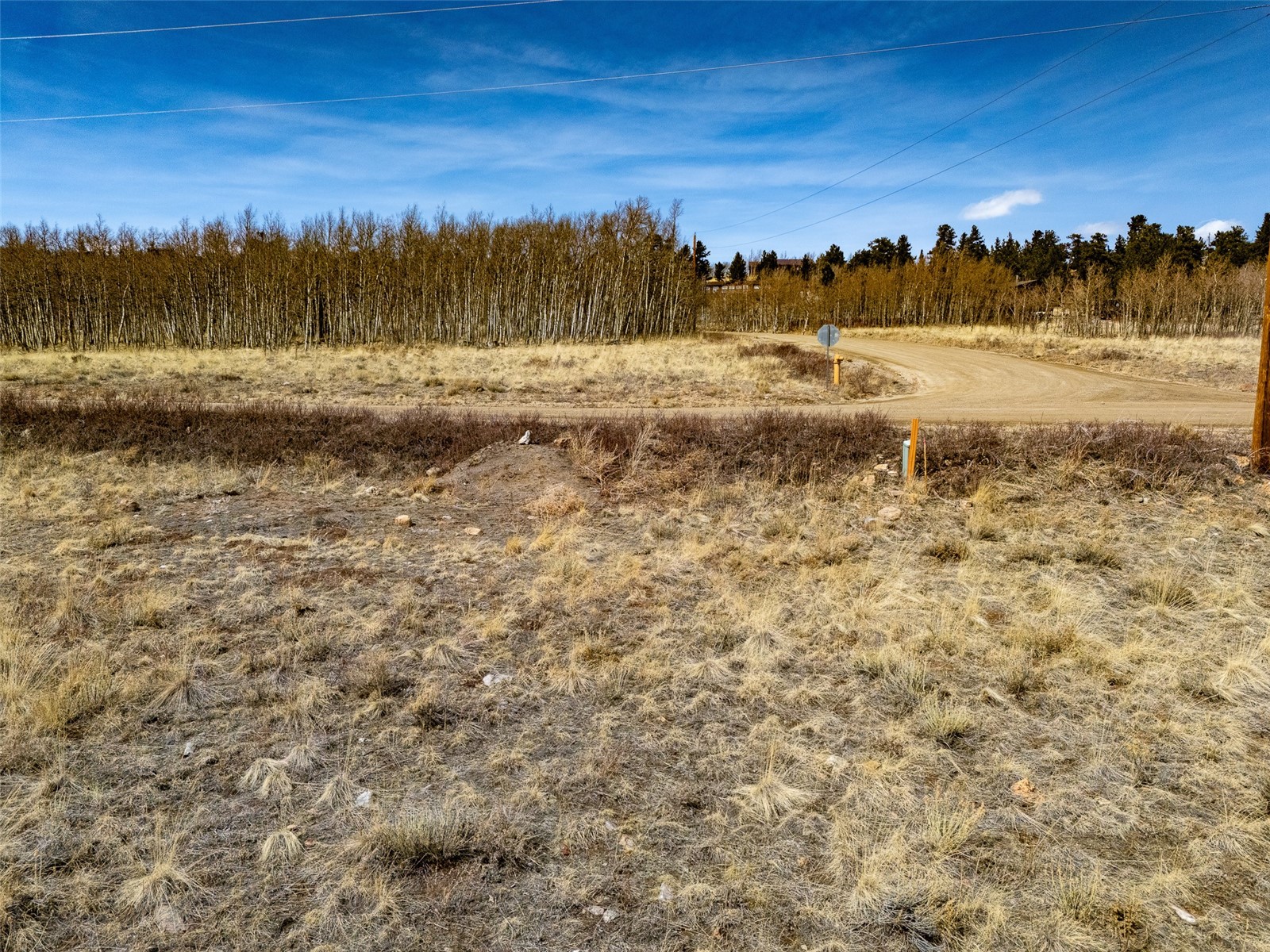 1555 Sheep Ridge Road Fairplay CO 80440