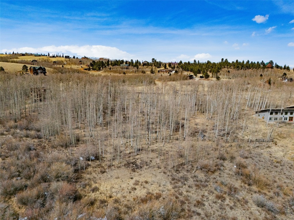 1555 Sheep Ridge Road Fairplay CO 80440