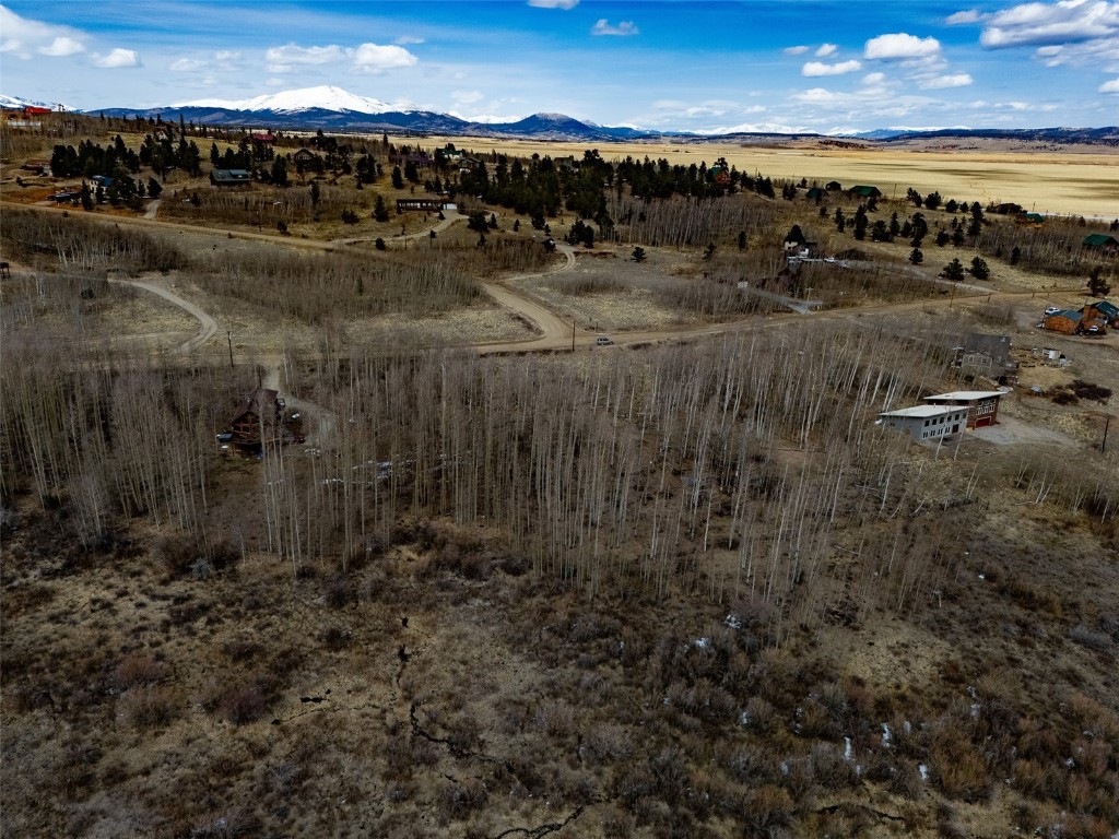 1555 Sheep Ridge Road Fairplay CO 80440
