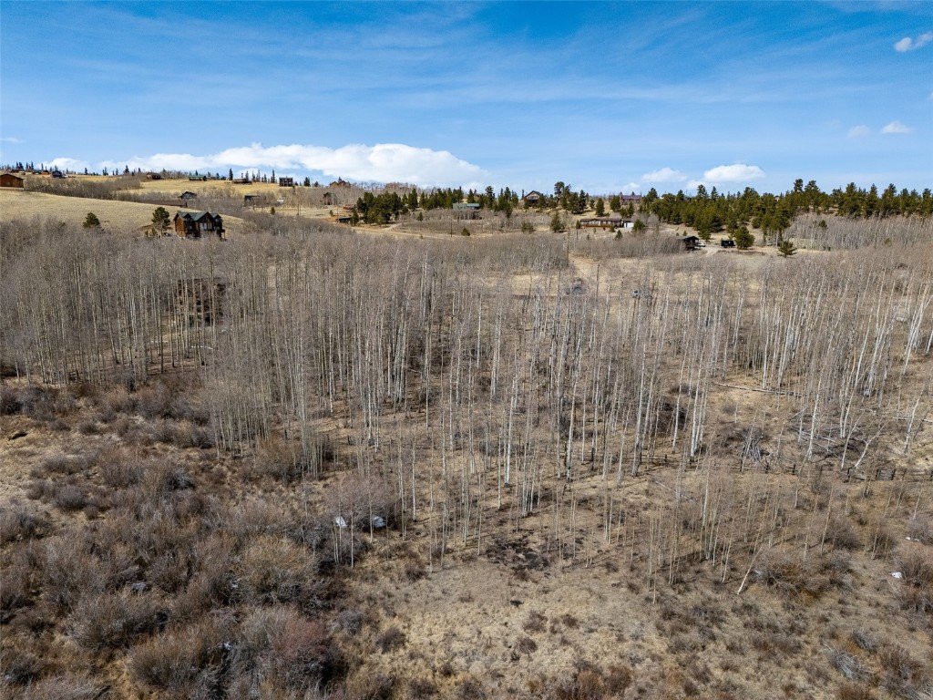 1555 Sheep Ridge Road Fairplay CO 80440