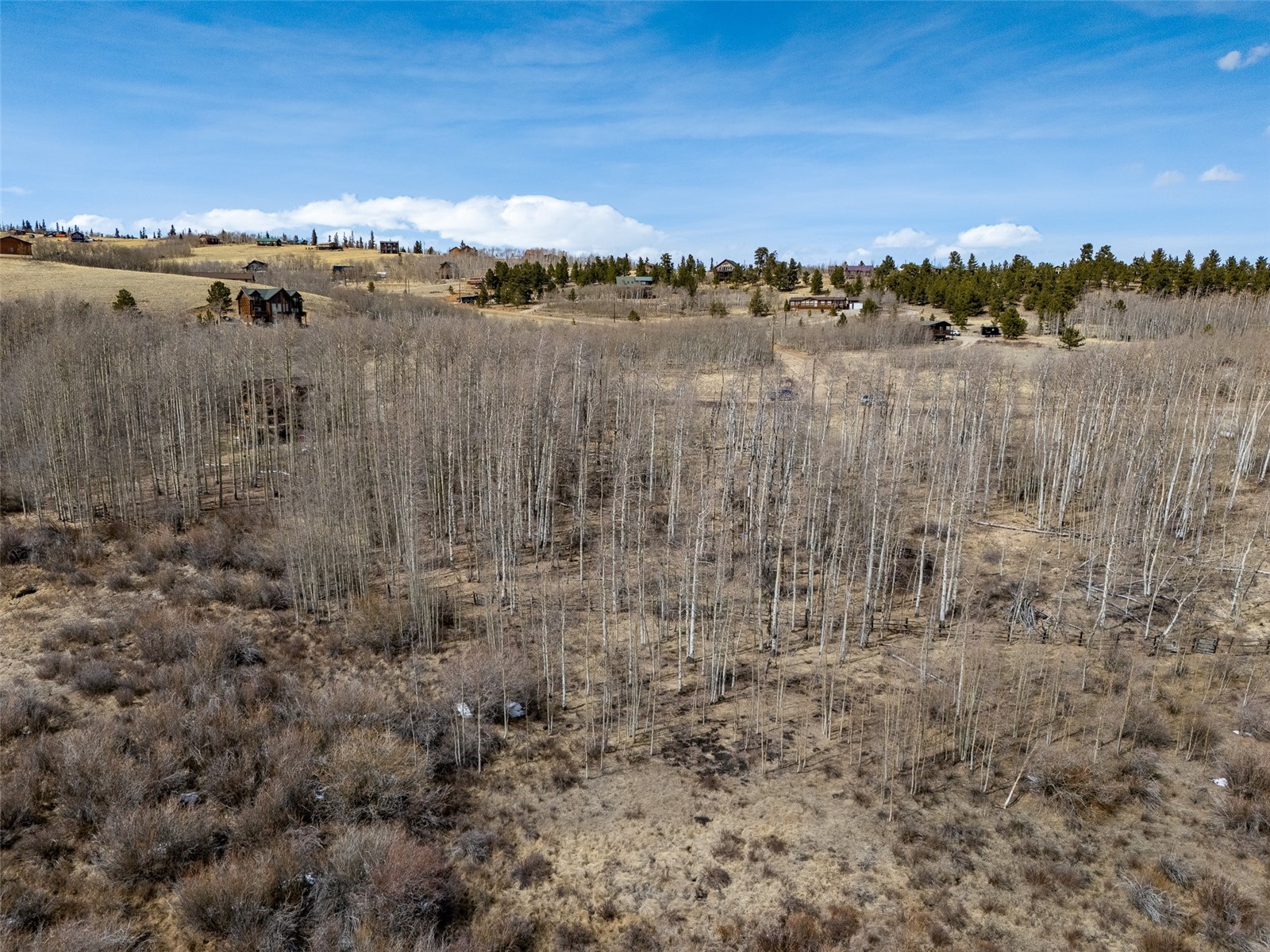 1555 Sheep Ridge Road Fairplay CO 80440