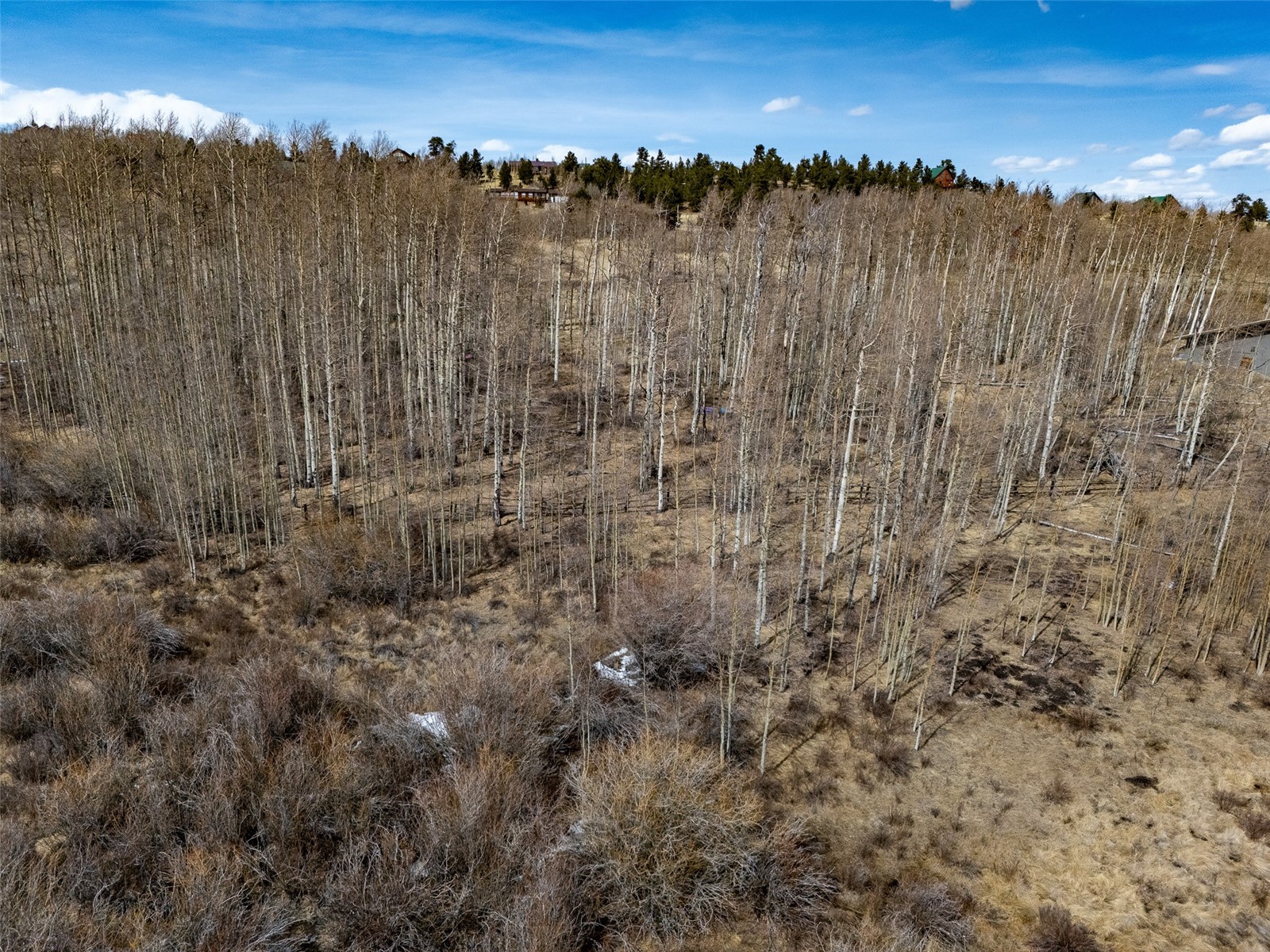 1555 Sheep Ridge Road Fairplay CO 80440