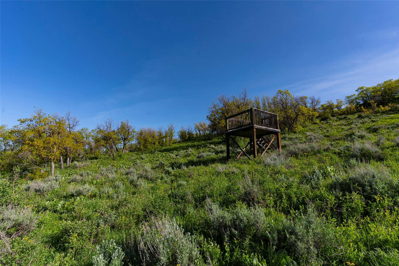 33905 Catamount Drive Steamboat Springs CO 80487