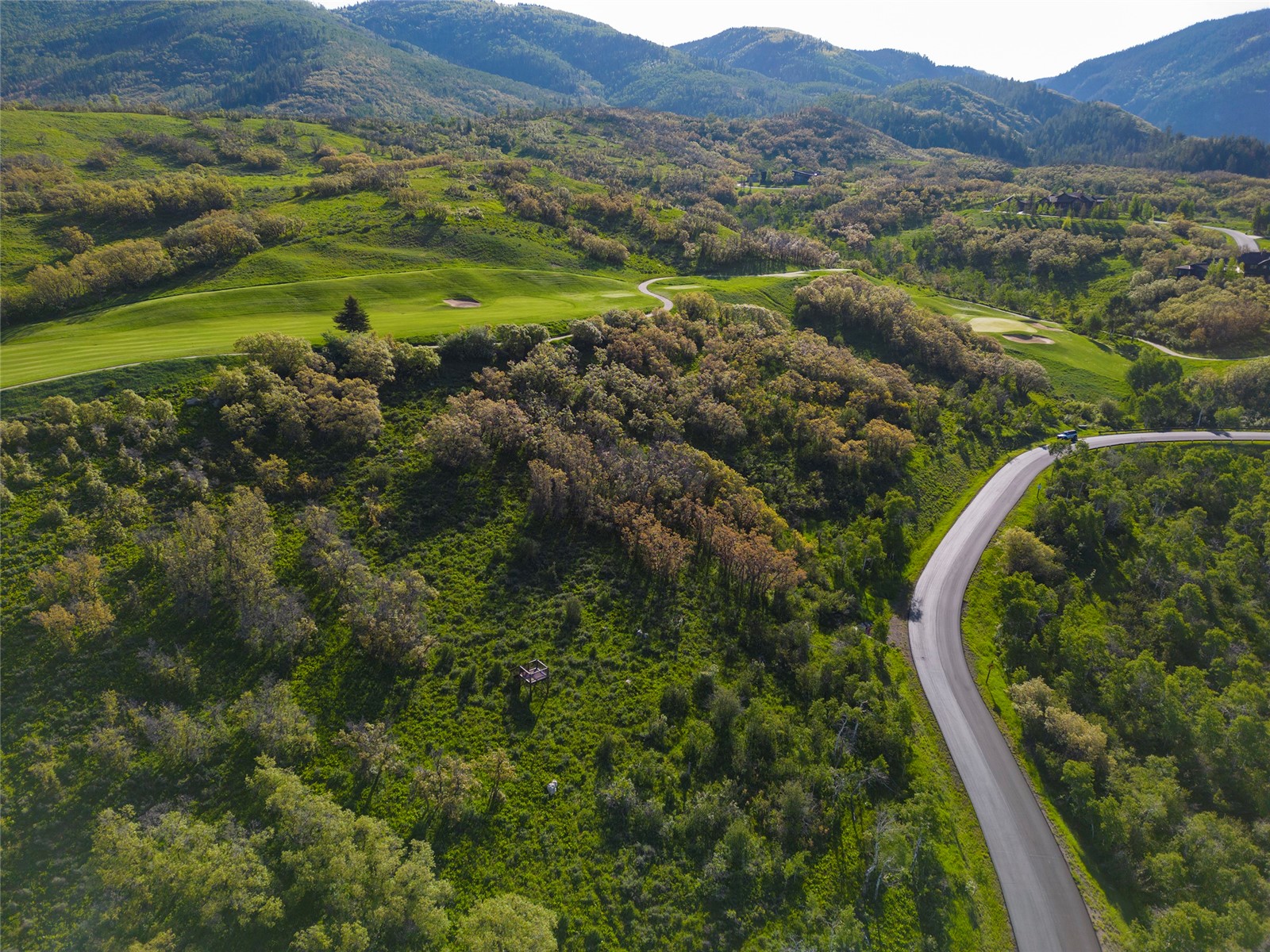 33905 Catamount Drive Steamboat Springs CO 80487