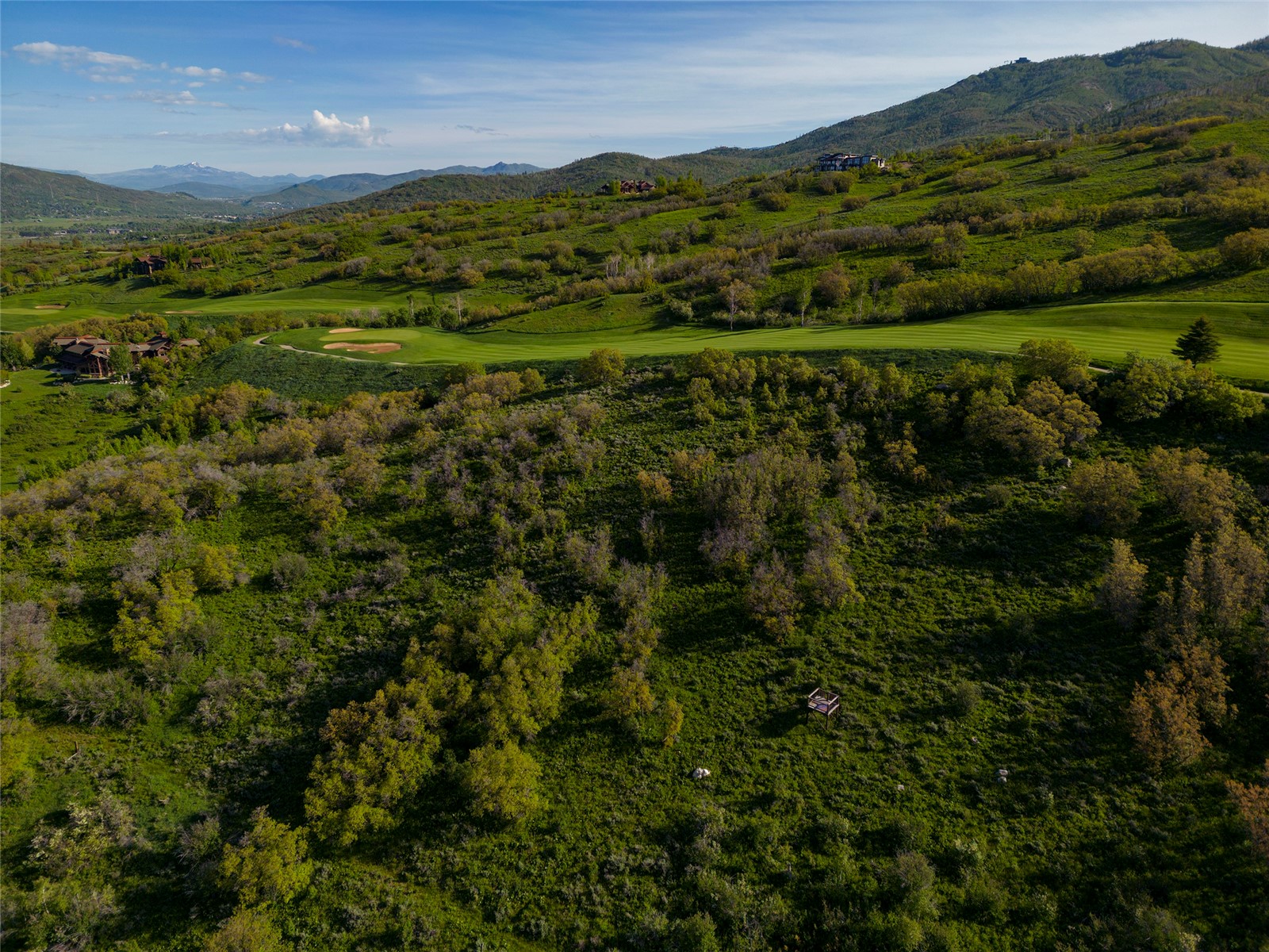 33905 Catamount Drive Steamboat Springs CO 80487