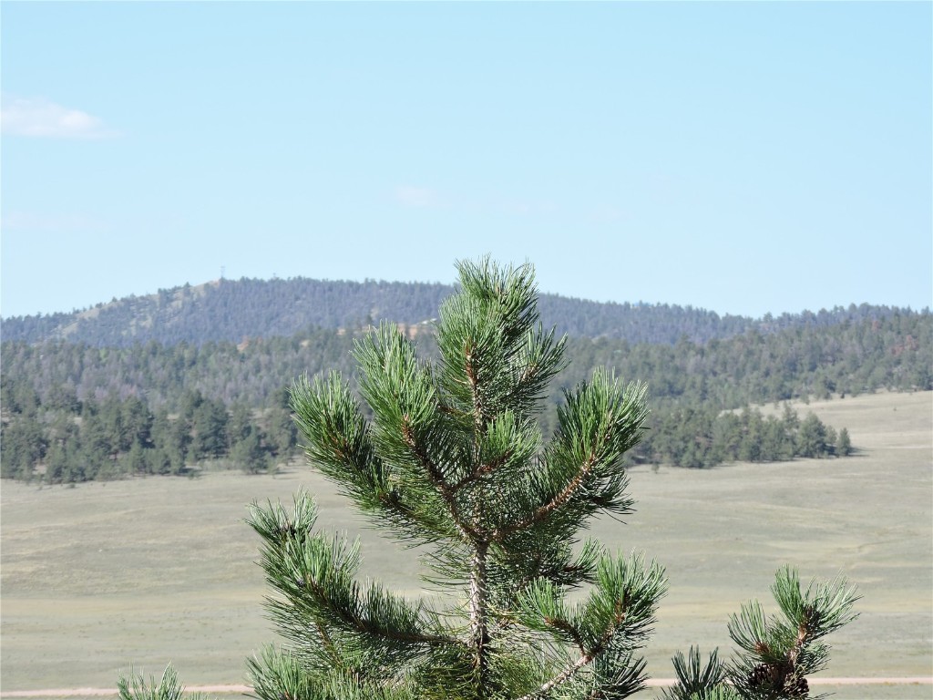 640 Arapaho Trail Hartsel CO 80449