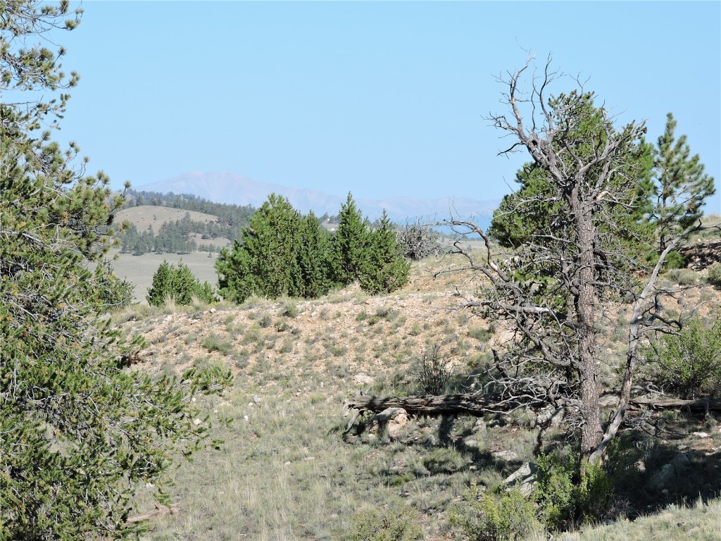 640 Arapaho Trail Hartsel CO 80449