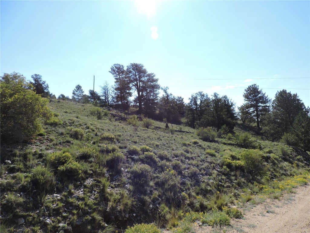 640 Arapaho Trail Hartsel CO 80449