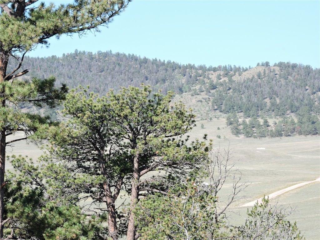 640 Arapaho Trail Hartsel CO 80449