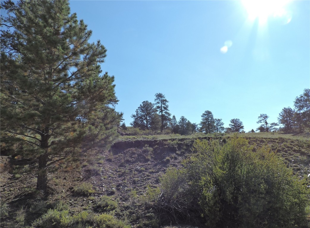 640 Arapaho Trail Hartsel CO 80449