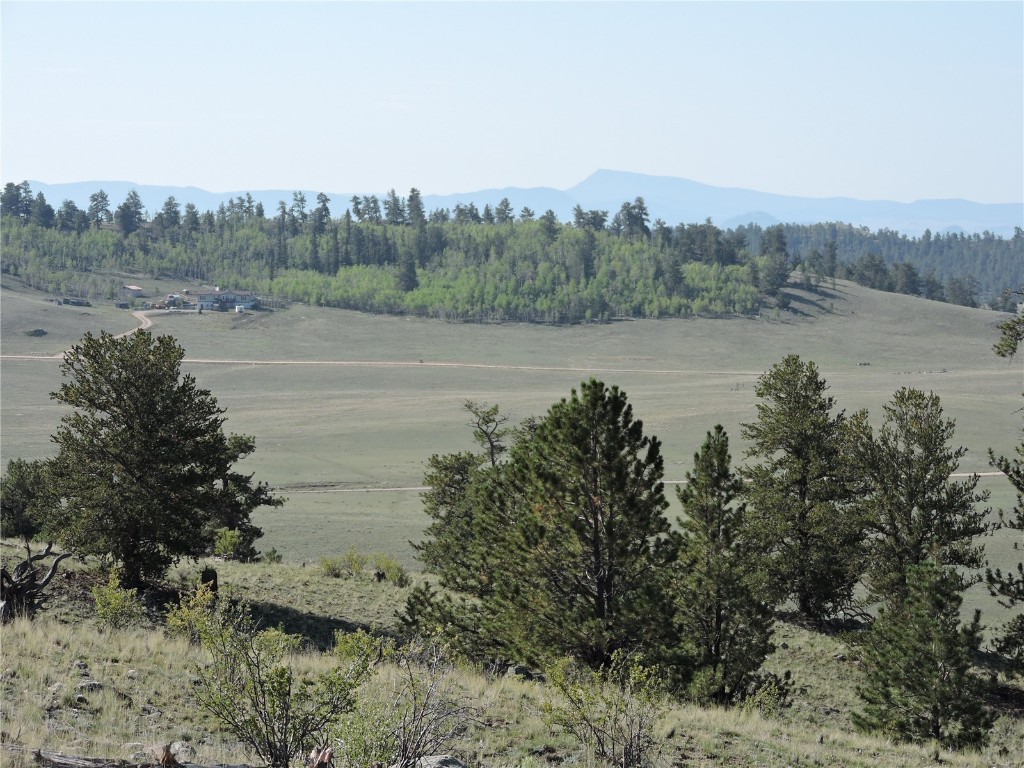 640 Arapaho Trail Hartsel CO 80449