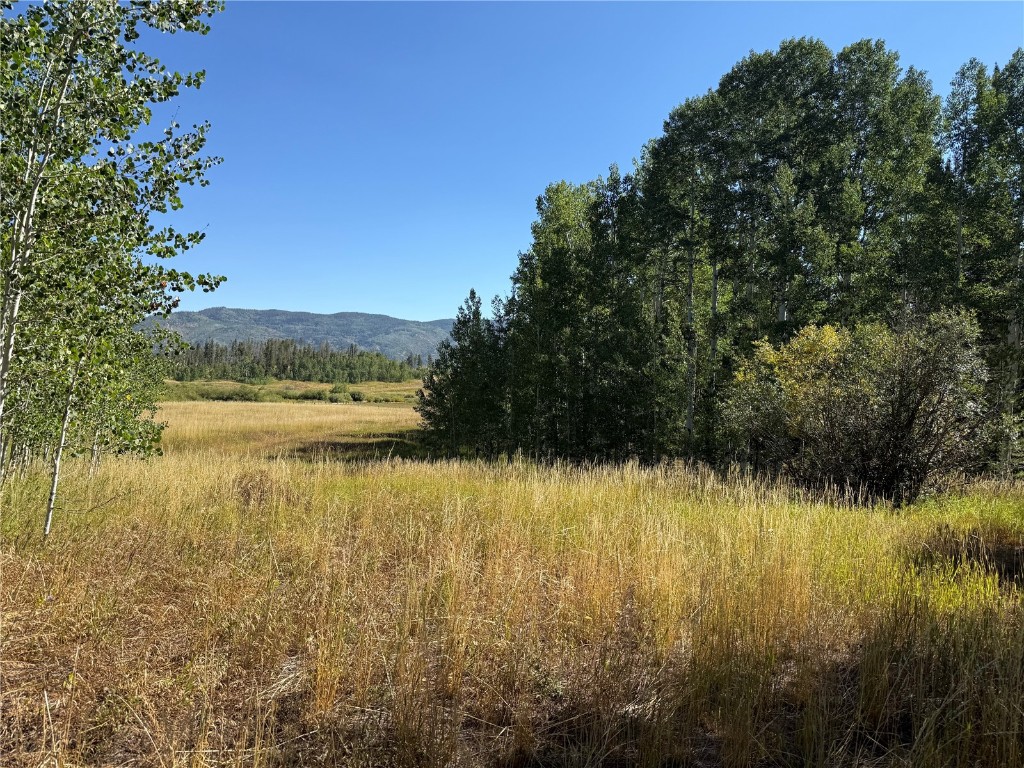 Lot 37 Colt Trail Oak Creek CO 80467
