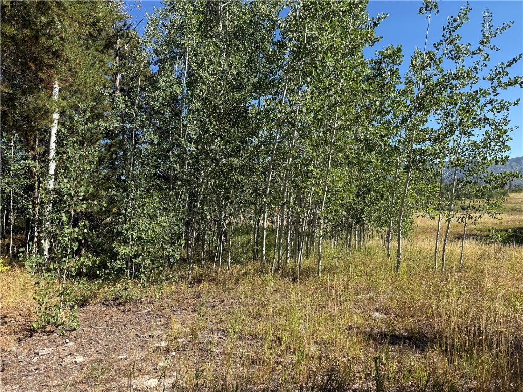 Lot 37 Colt Trail Oak Creek CO 80467