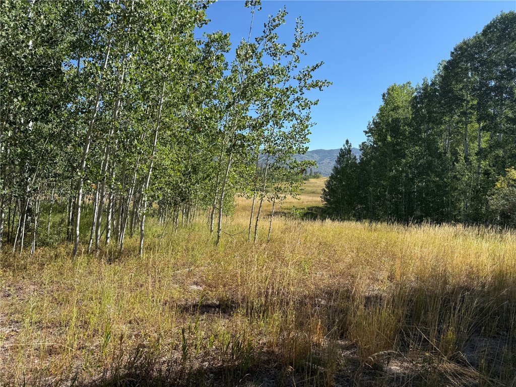 Lot 37 Colt Trail Oak Creek CO 80467
