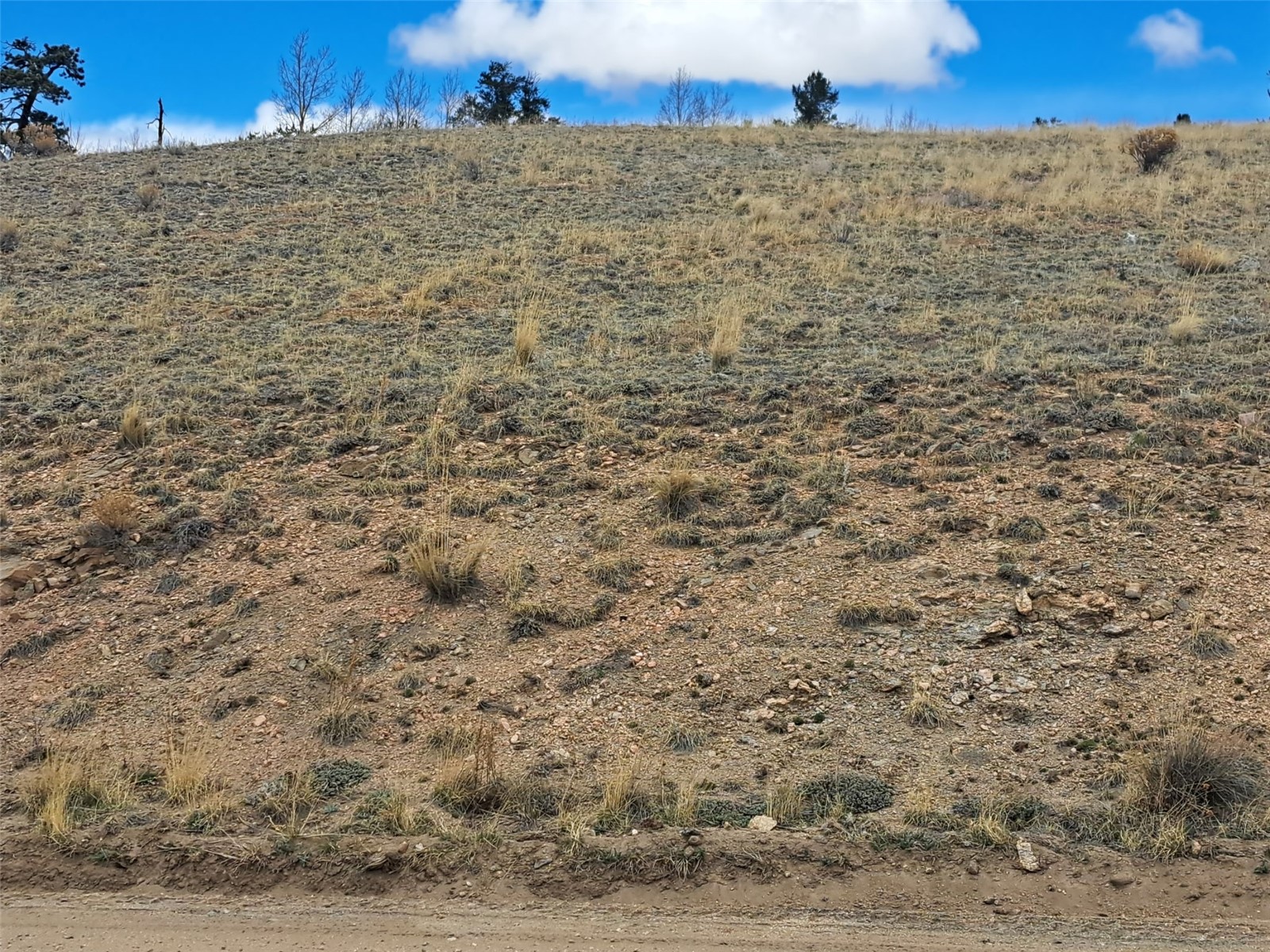 499 Kiowa Street Como CO 80432
