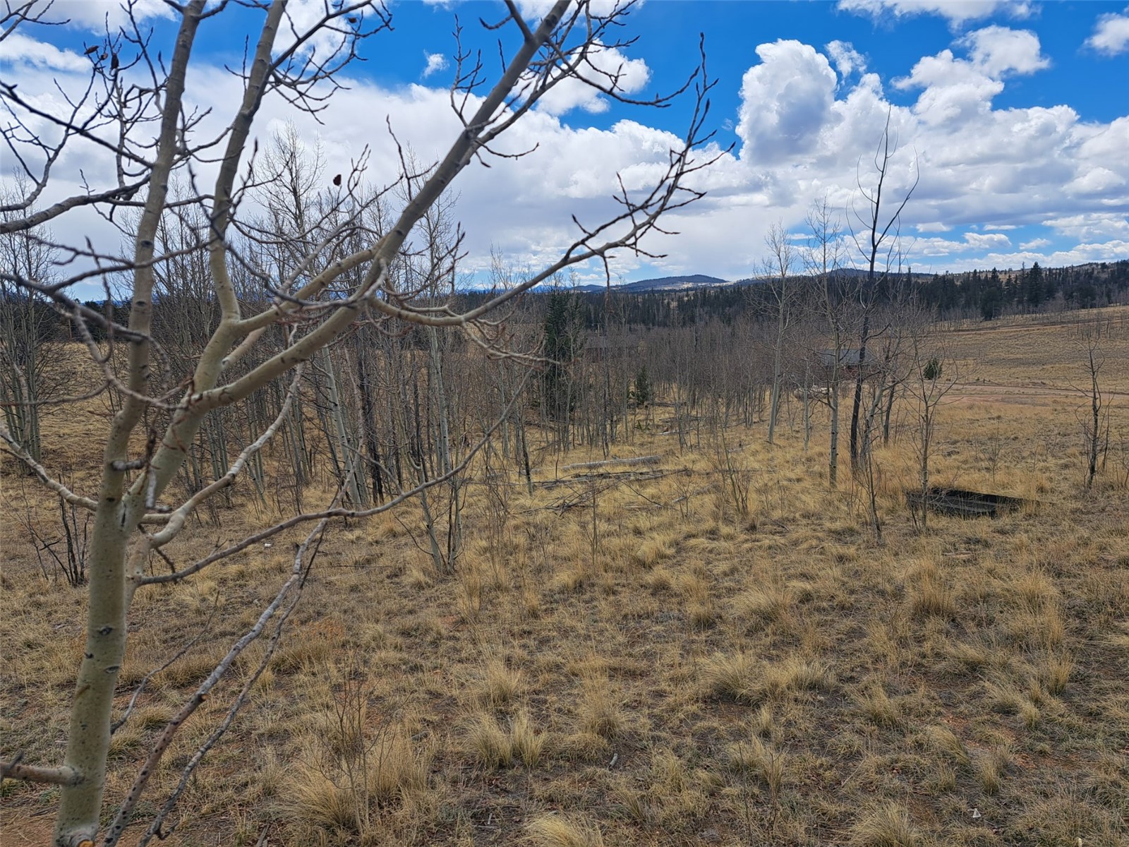 499 Kiowa Street Como CO 80432