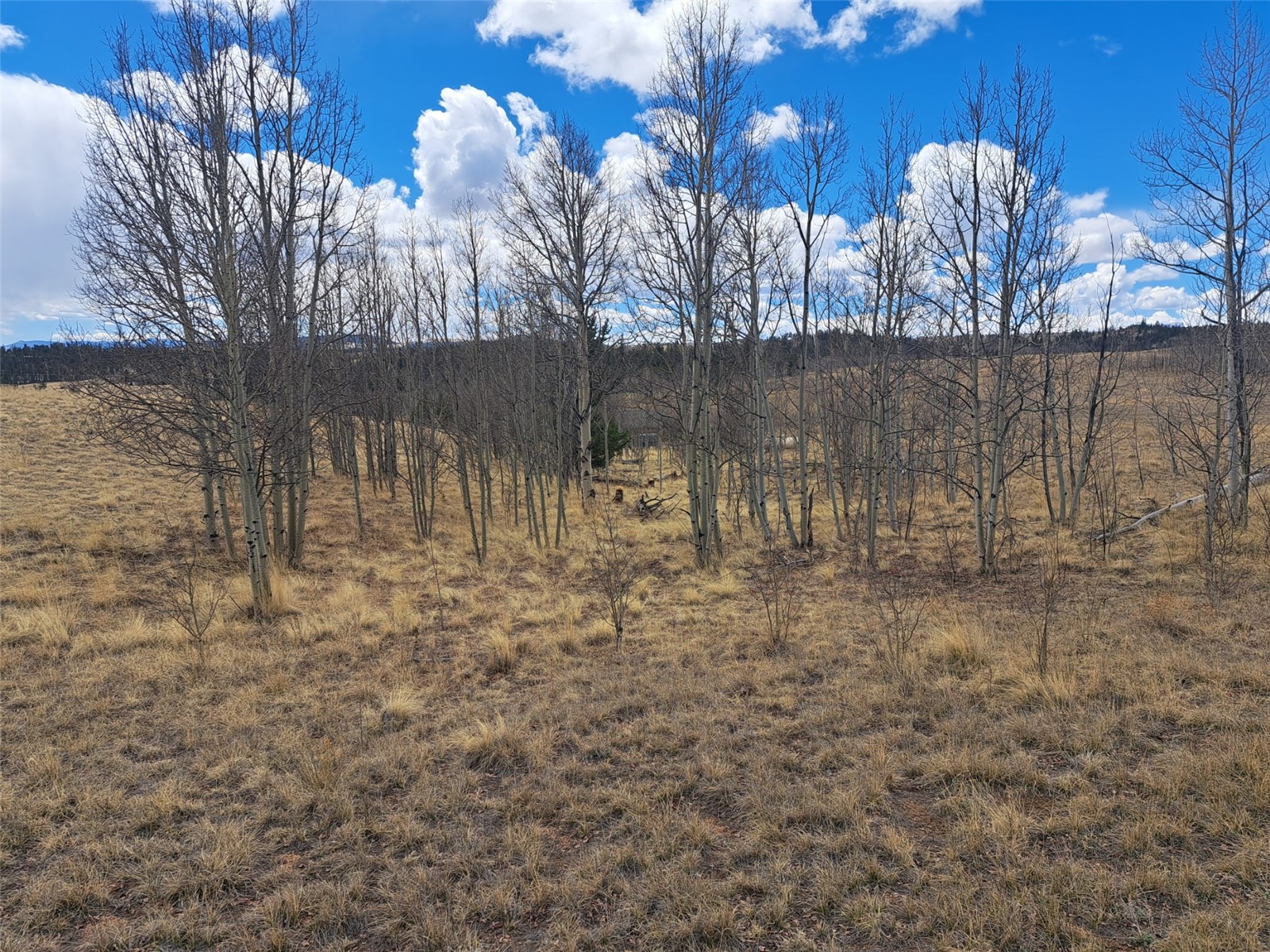 499 Kiowa Street Como CO 80432