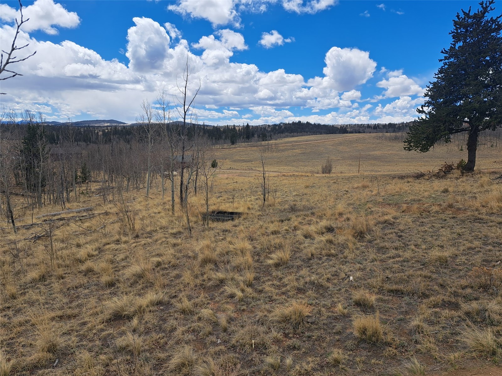 499 Kiowa Street Como CO 80432