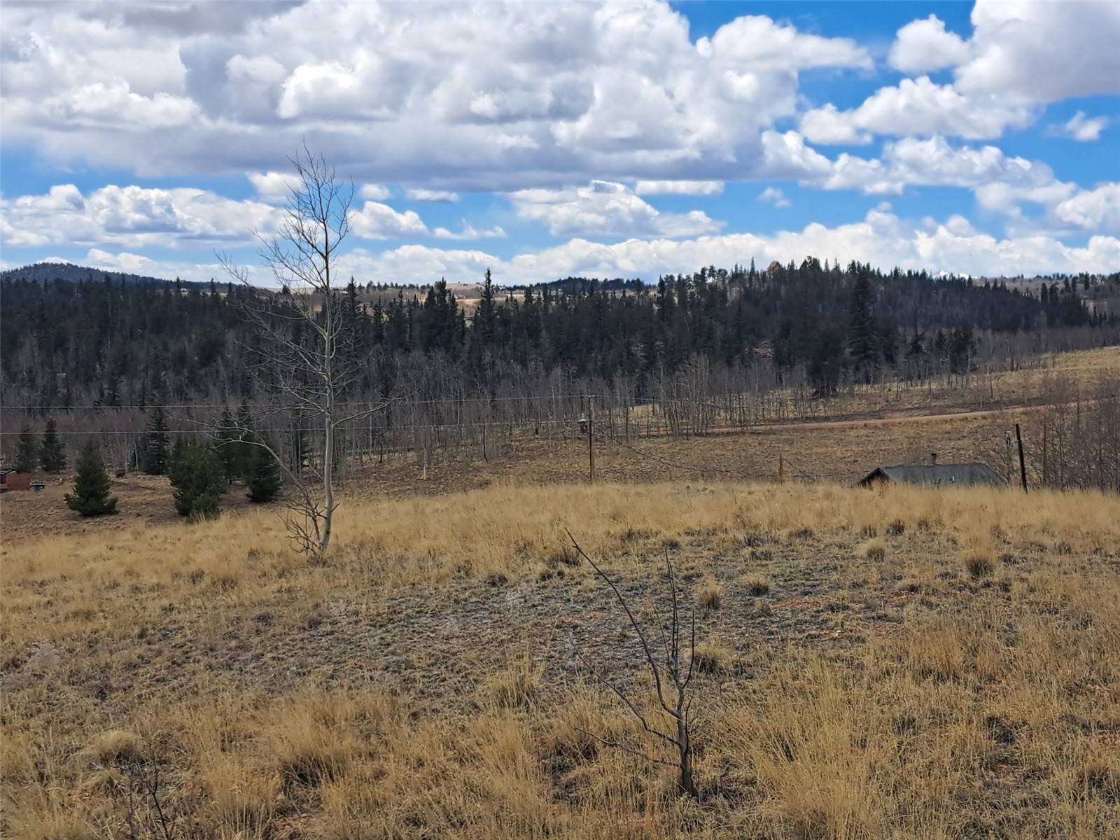 499 Kiowa Street Como CO 80432