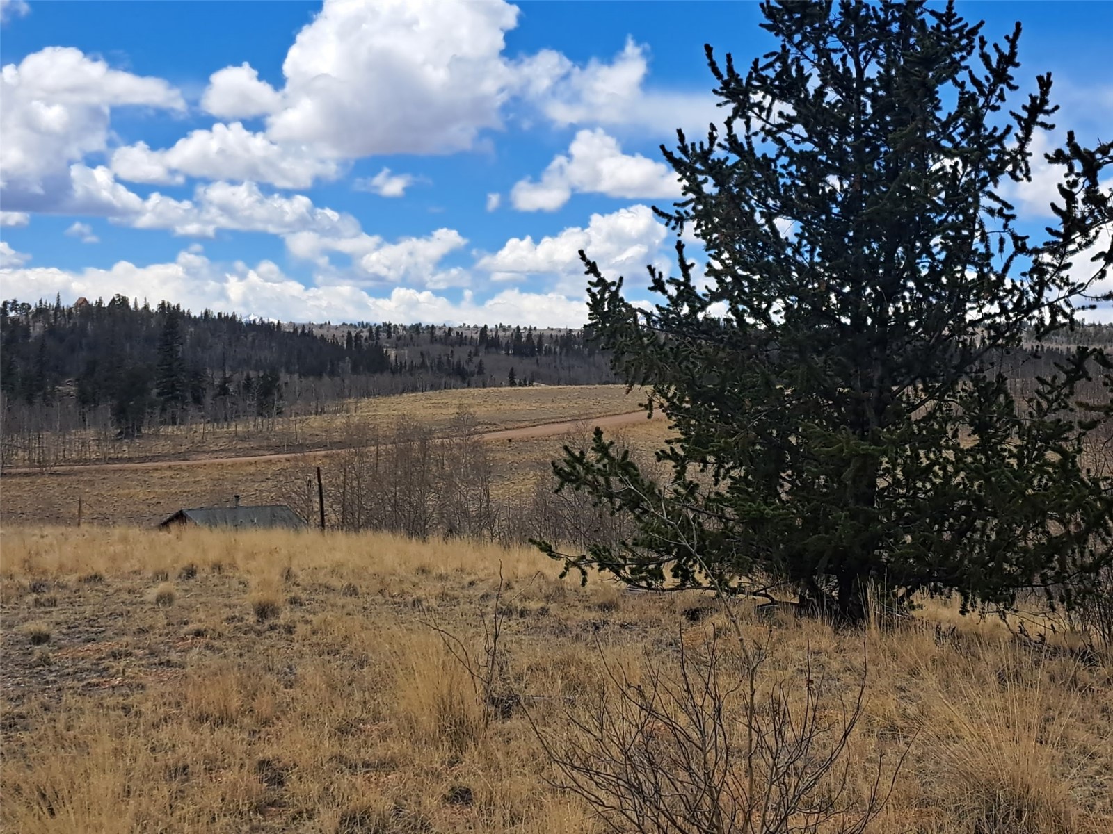 499 Kiowa Street Como CO 80432