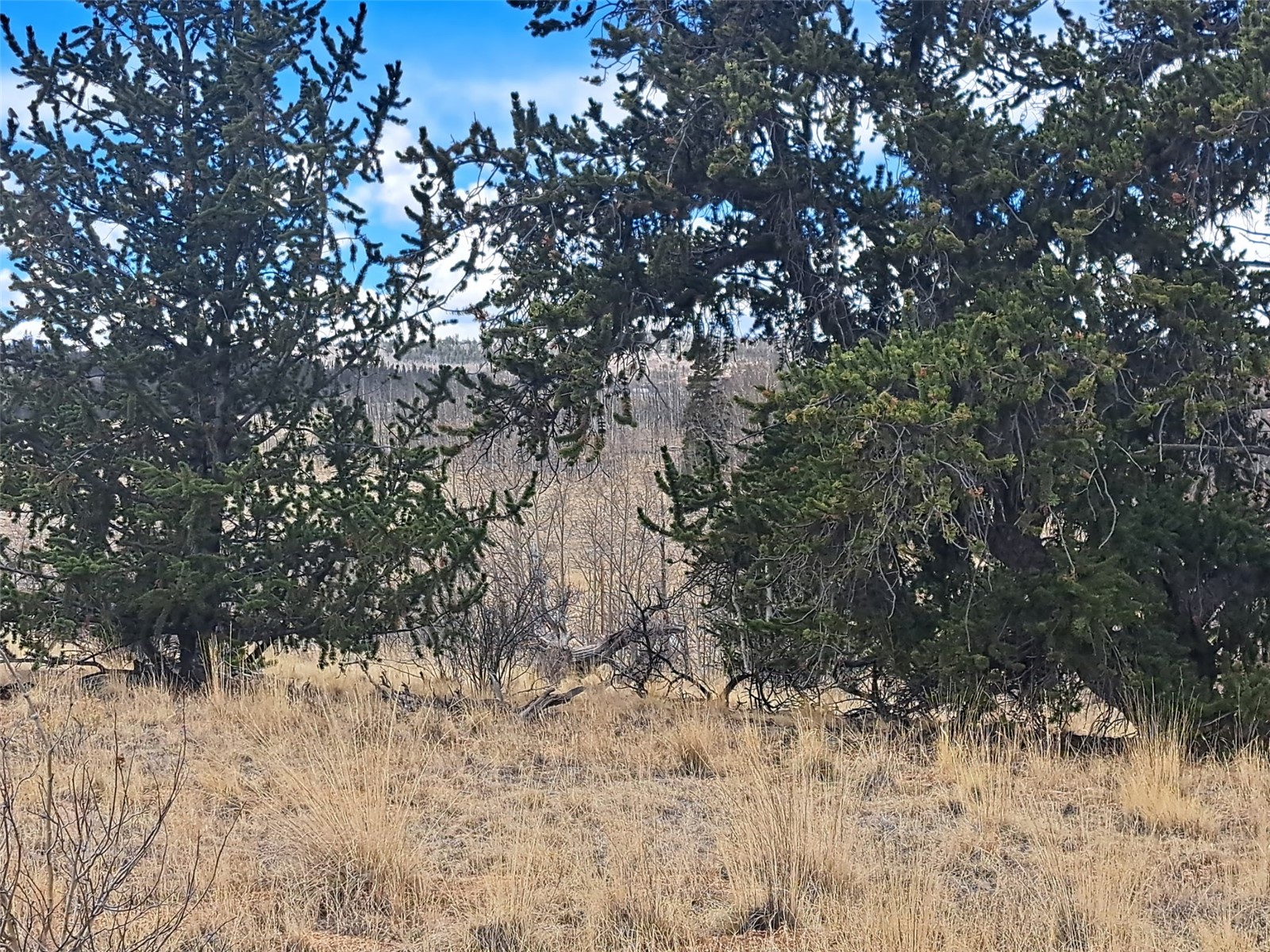 499 Kiowa Street Como CO 80432