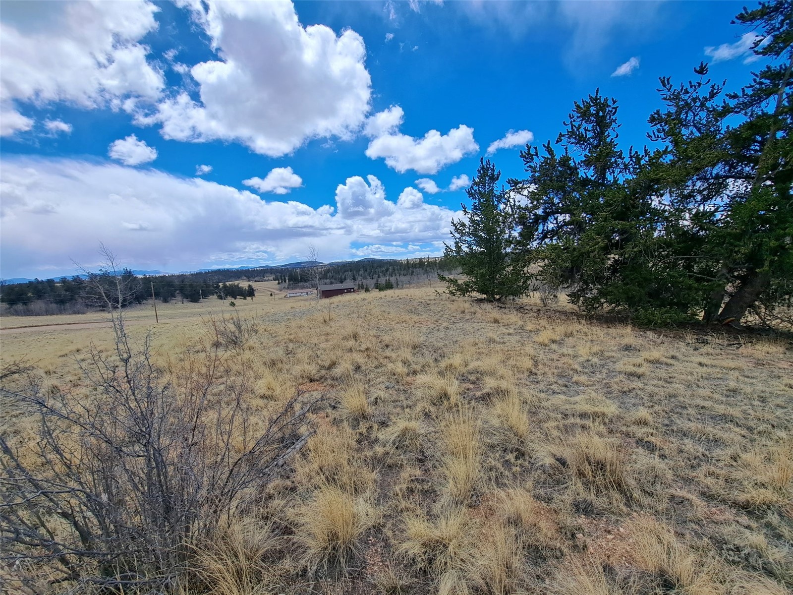 499 Kiowa Street Como CO 80432