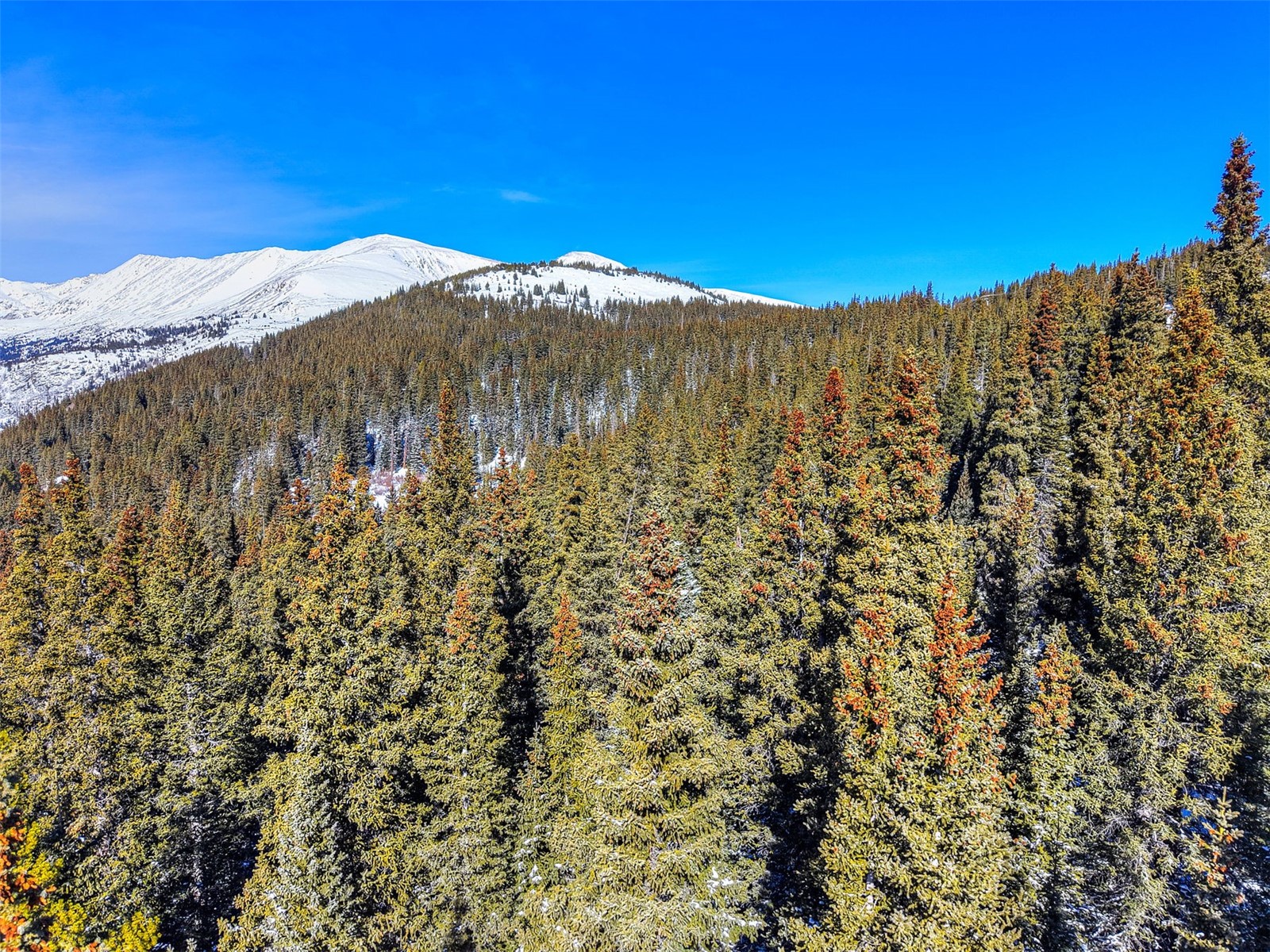 58969 Highway 9 Alma CO 80420