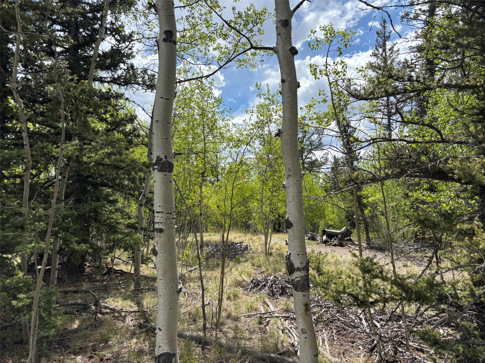 514 Chief Trail Como CO 80432