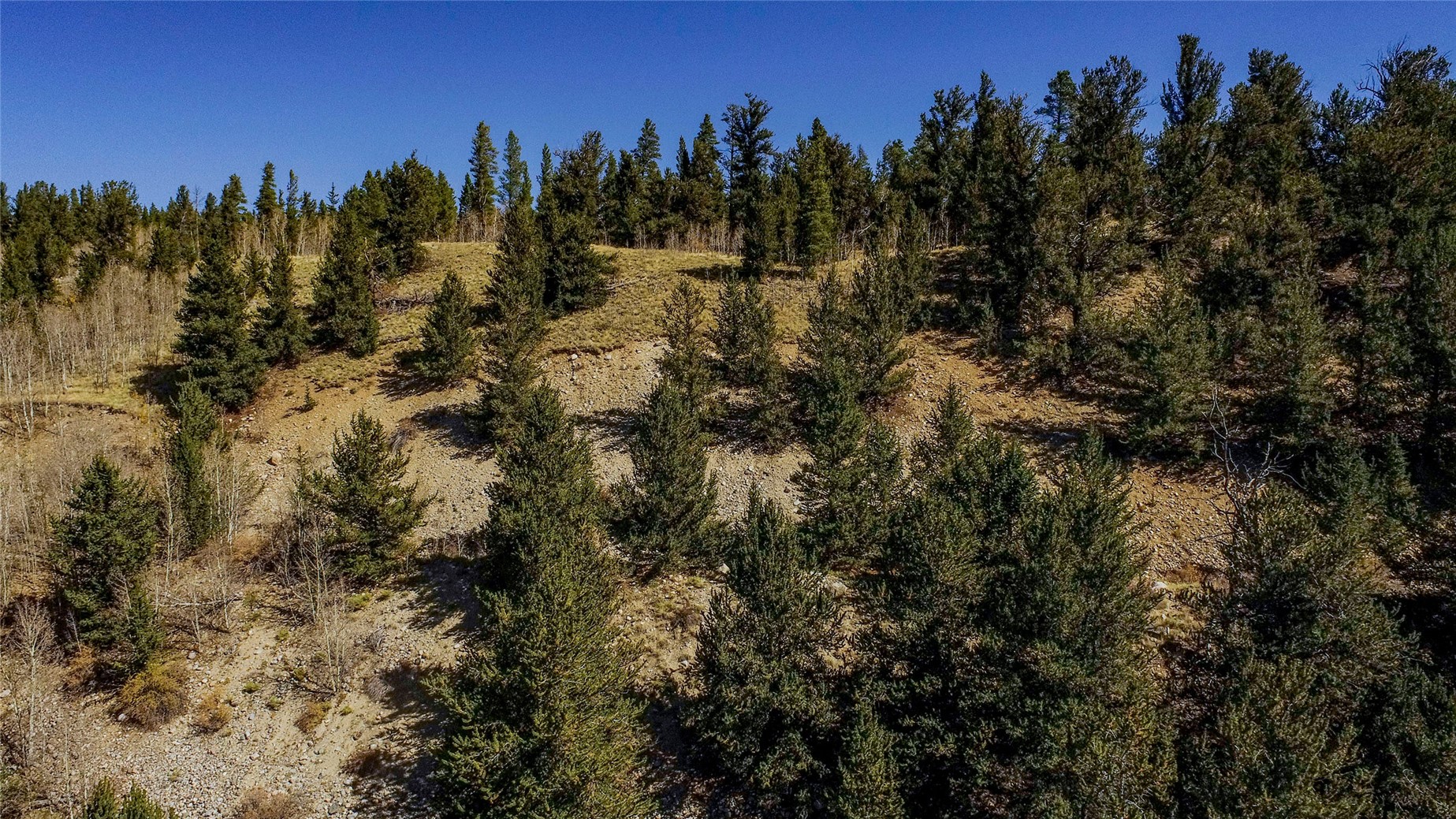 45 Platte River Drive Fairplay CO 80440