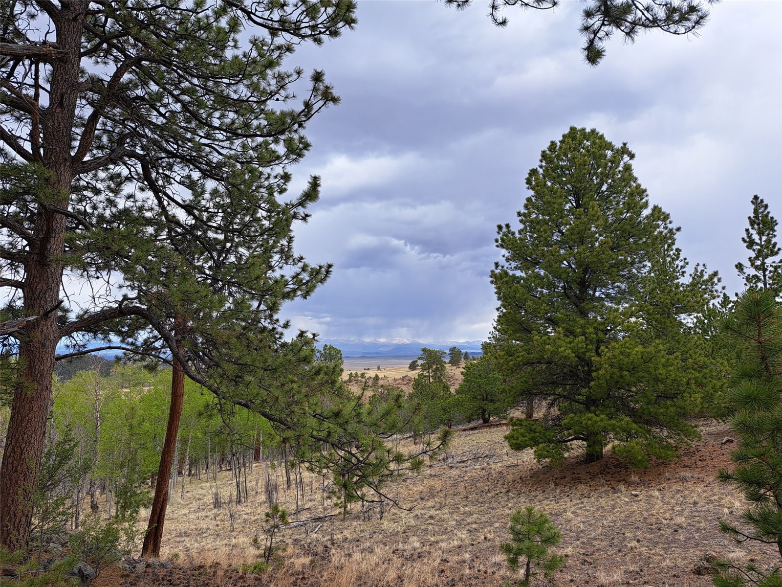` Dog Soldier Trail Hartsel CO 80449