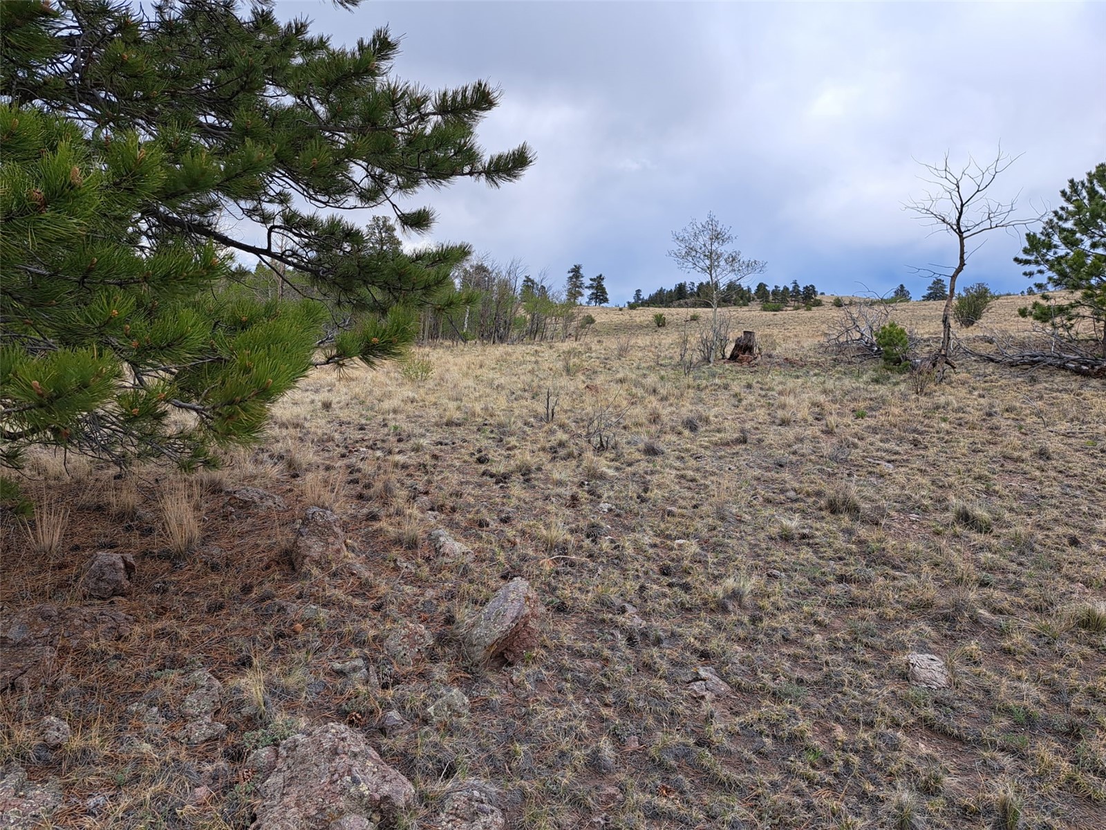 ` Dog Soldier Trail Hartsel CO 80449