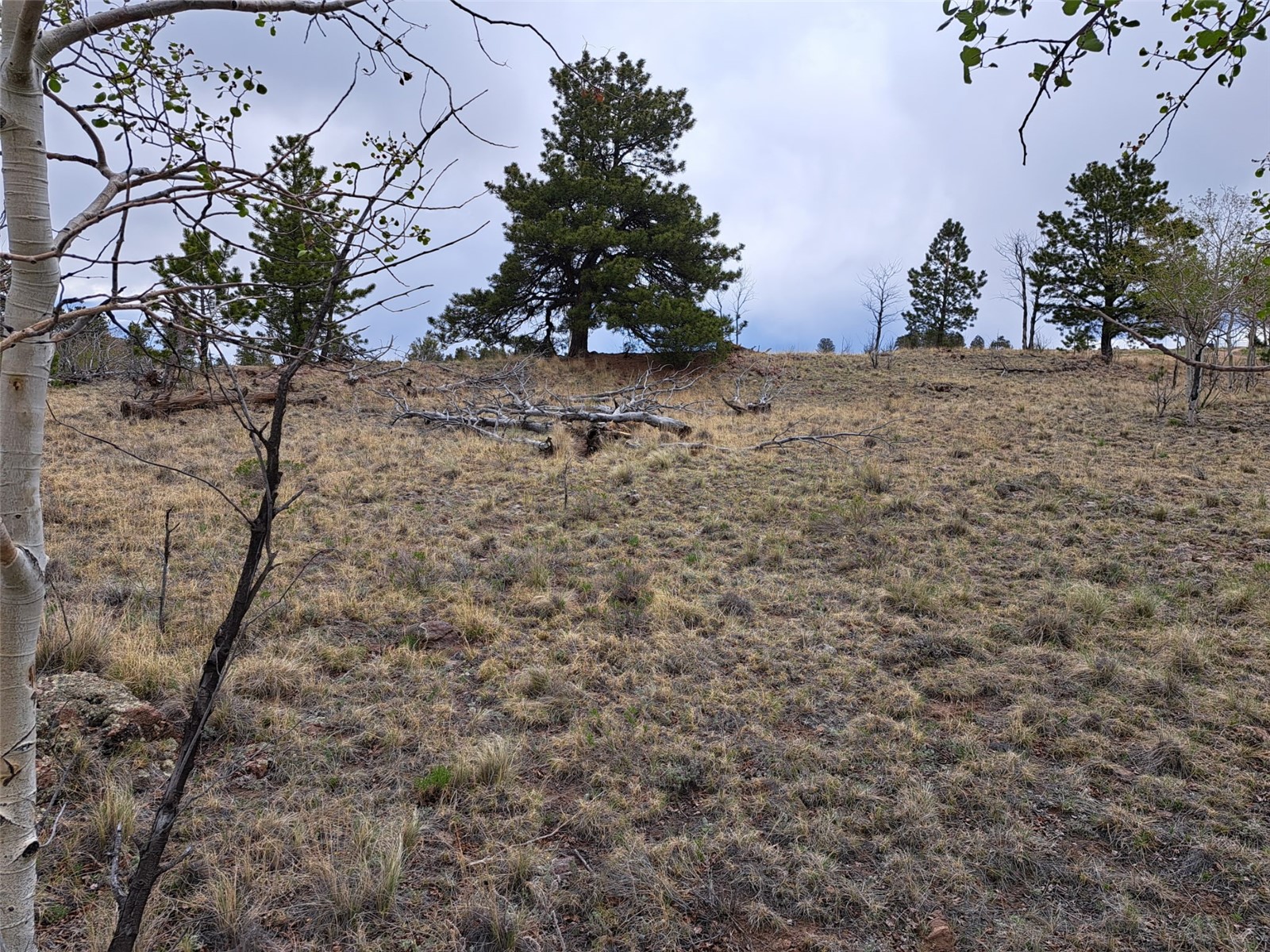 ` Dog Soldier Trail Hartsel CO 80449