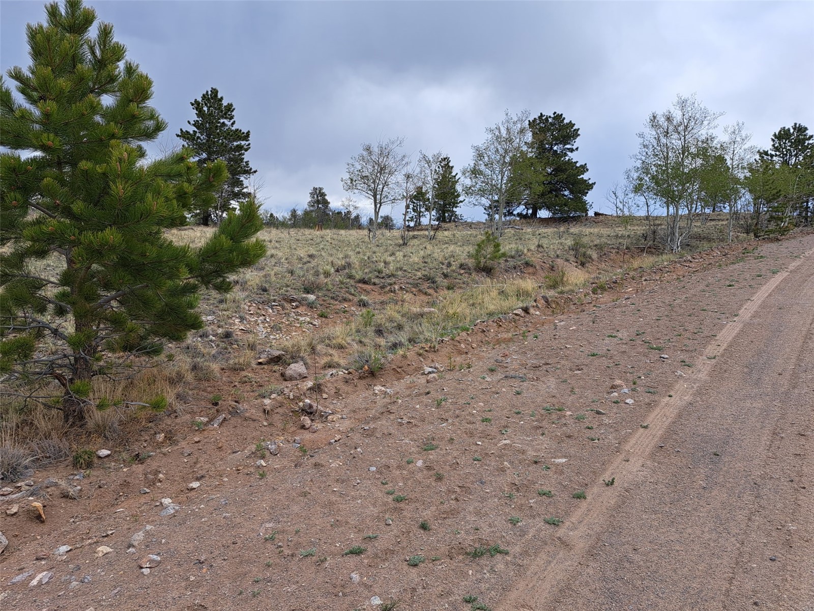 ` Dog Soldier Trail Hartsel CO 80449