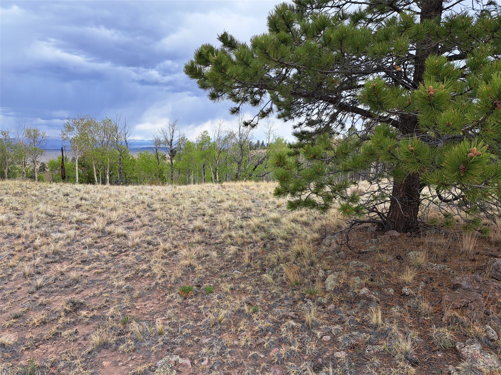 ` Dog Soldier Trail Hartsel CO 80449