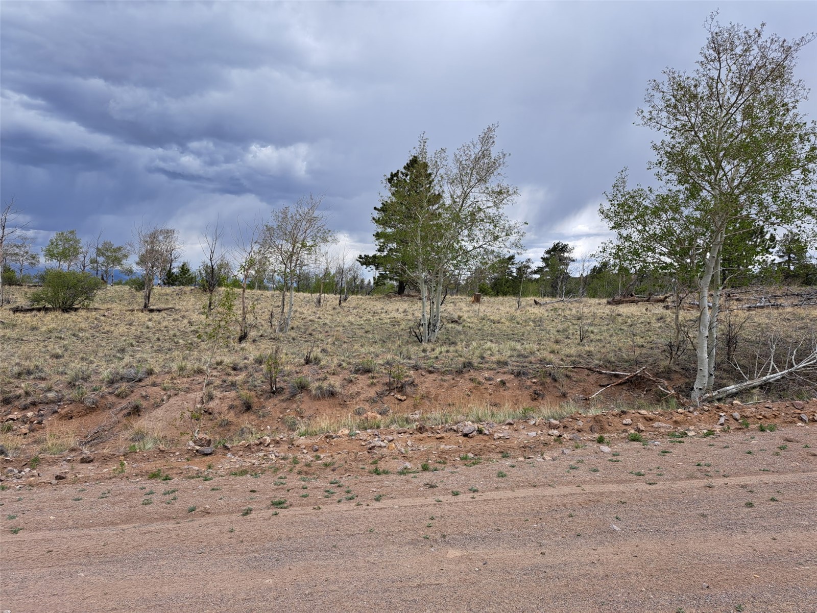` Dog Soldier Trail Hartsel CO 80449